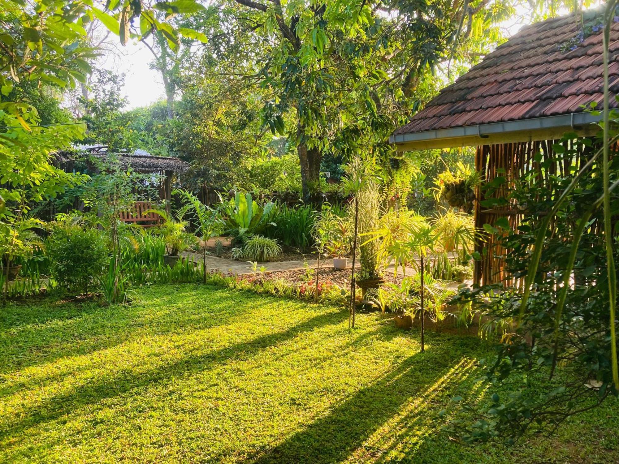 Green Paradise Cottage Udawalawa Udawalawe Exterior photo