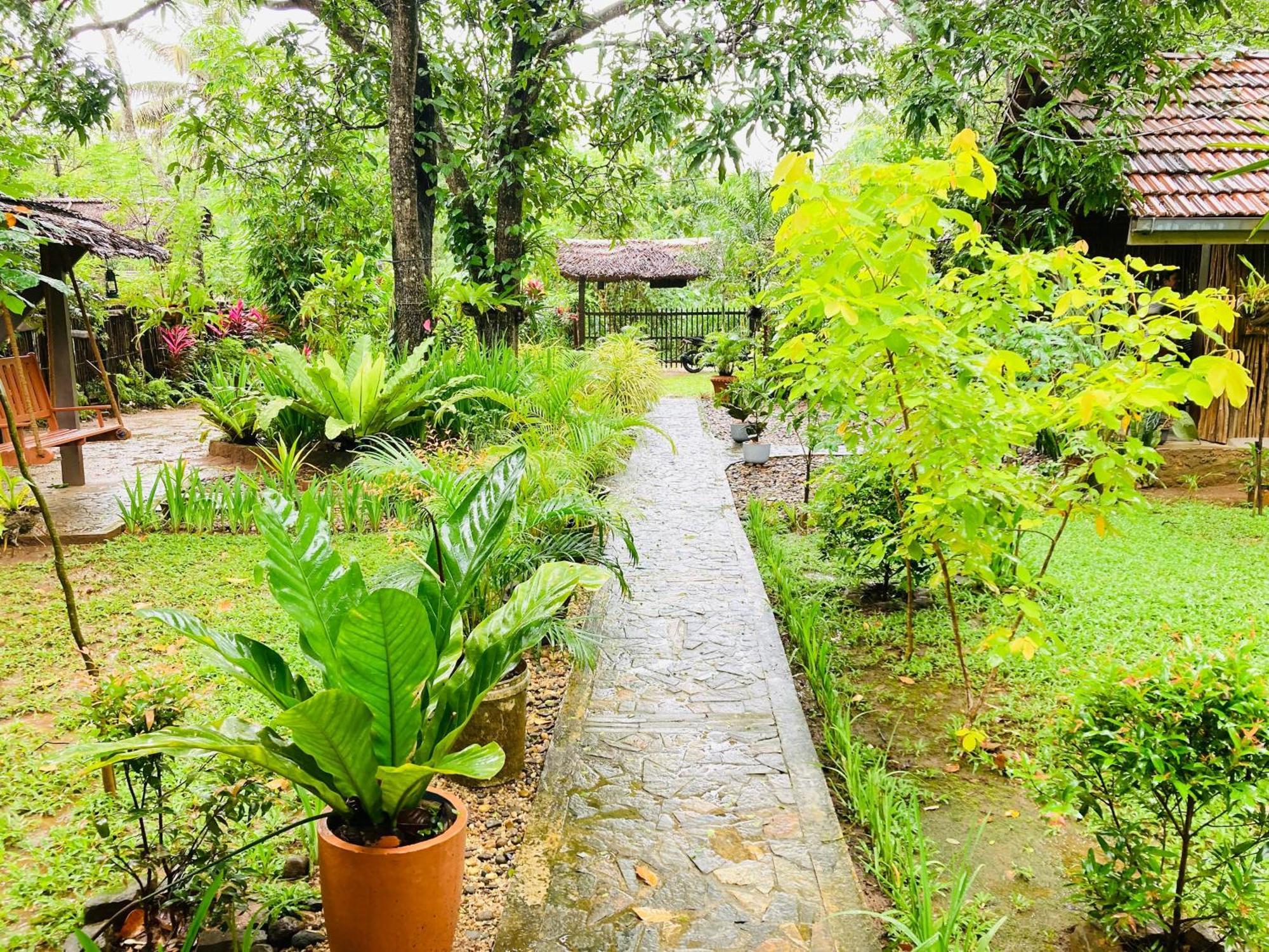 Green Paradise Cottage Udawalawa Udawalawe Exterior photo
